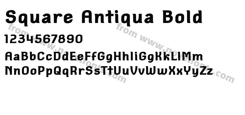 Square Antiqua BoldPreview