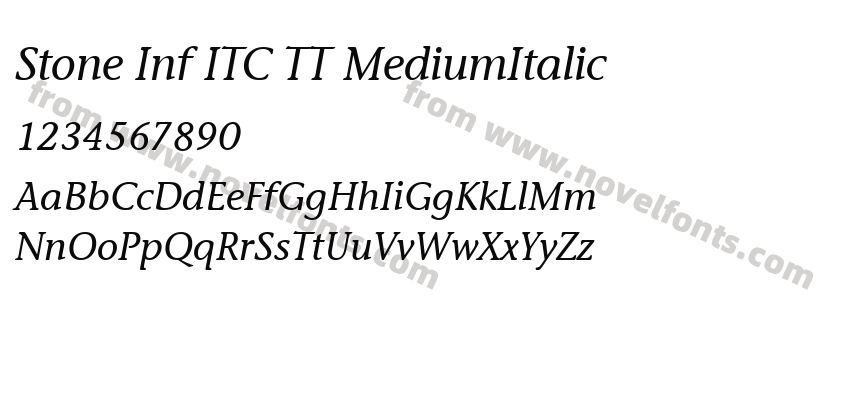 Stone Inf ITC TT MediumItalicPreview