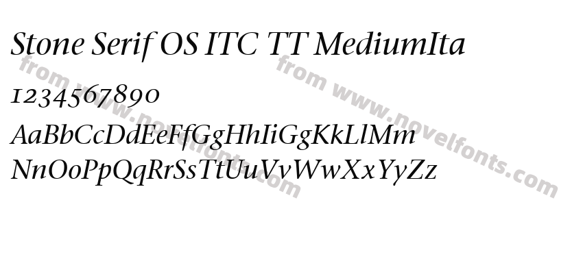 Stone Serif OS ITC TT MediumItaPreview