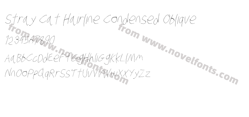 Stray Cat Hairline Condensed ObliquePreview