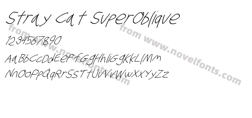 Stray Cat SuperObliquePreview