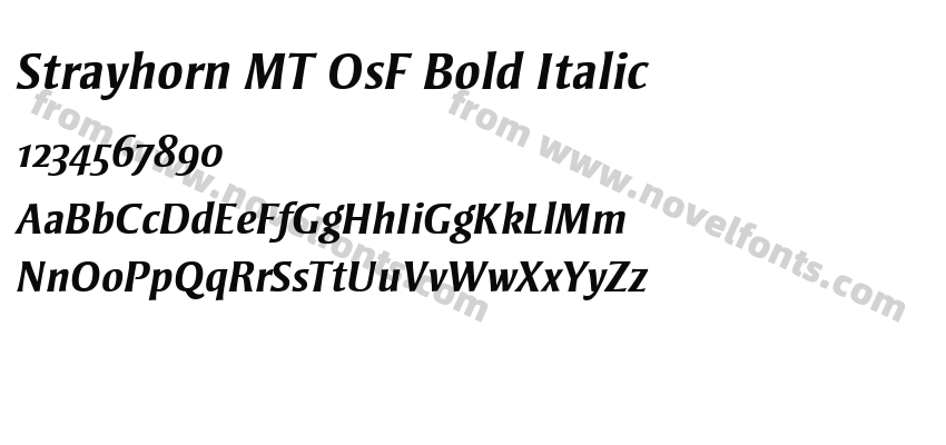 Strayhorn MT OsF Bold ItalicPreview