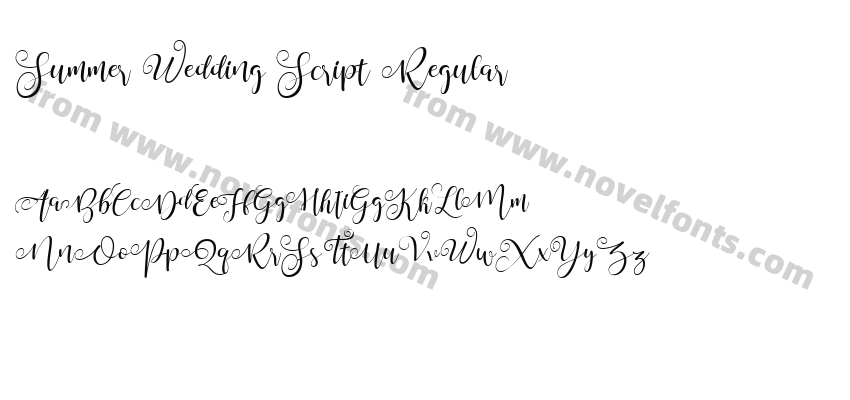 Summer Wedding Script RegularPreview