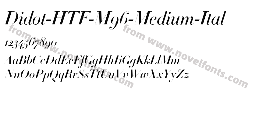 Didot-HTF-M96-Medium-ItalPreview