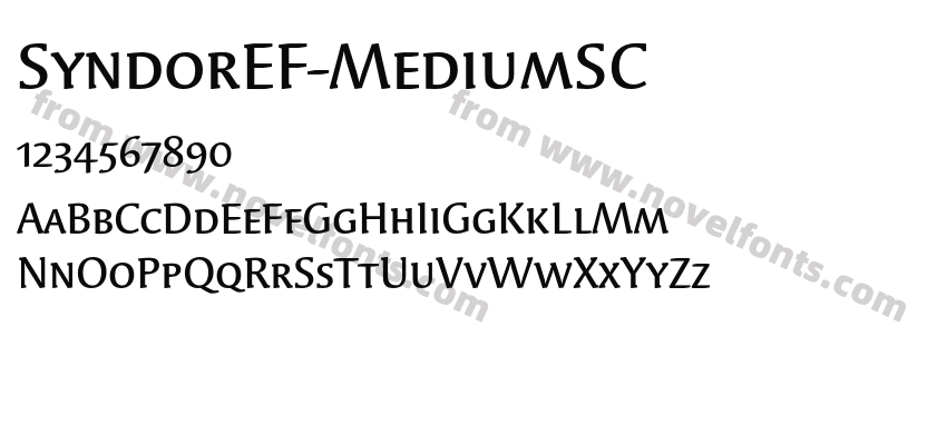 SyndorEF-MediumSCPreview