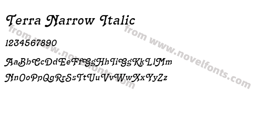 Terra Narrow ItalicPreview