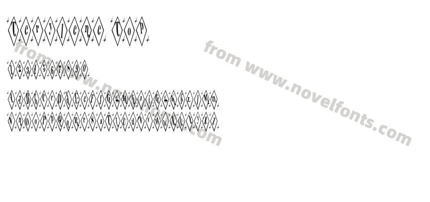 Terylene TopPreview