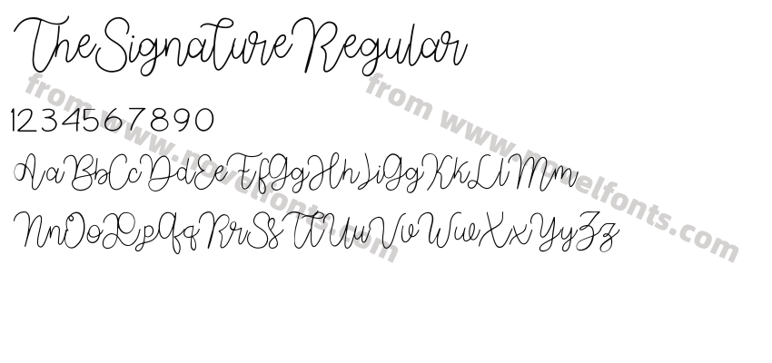 TheSignatureRegularPreview