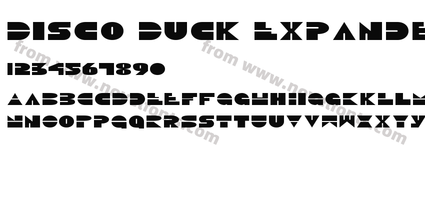 Disco Duck ExpandedPreview