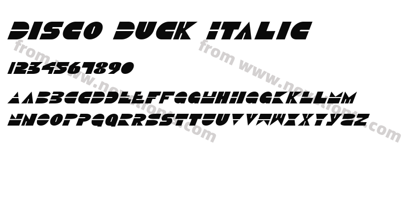 Disco Duck ItalicPreview