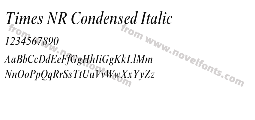 Times NR Condensed ItalicPreview