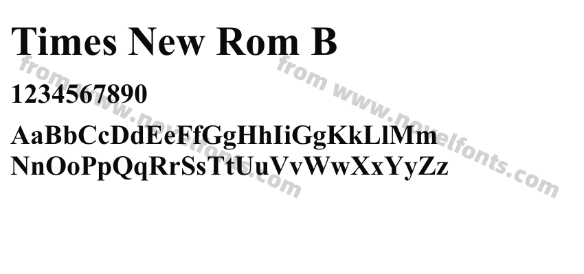 Times New Rom BPreview