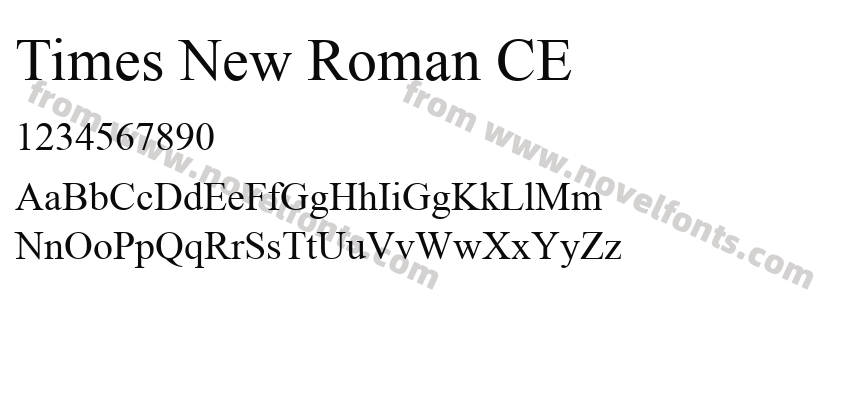 Times New Roman CEPreview