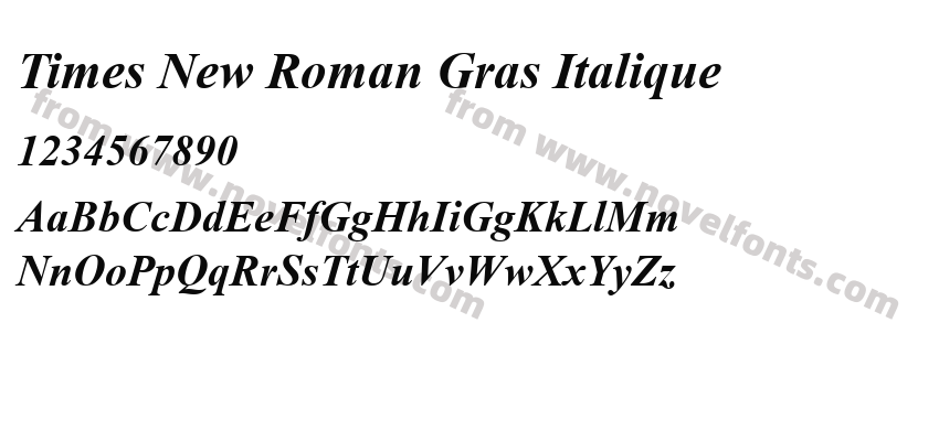 Times New Roman Gras ItaliquePreview