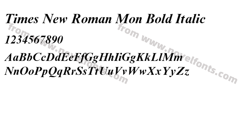 Times New Roman Mon Bold ItalicPreview