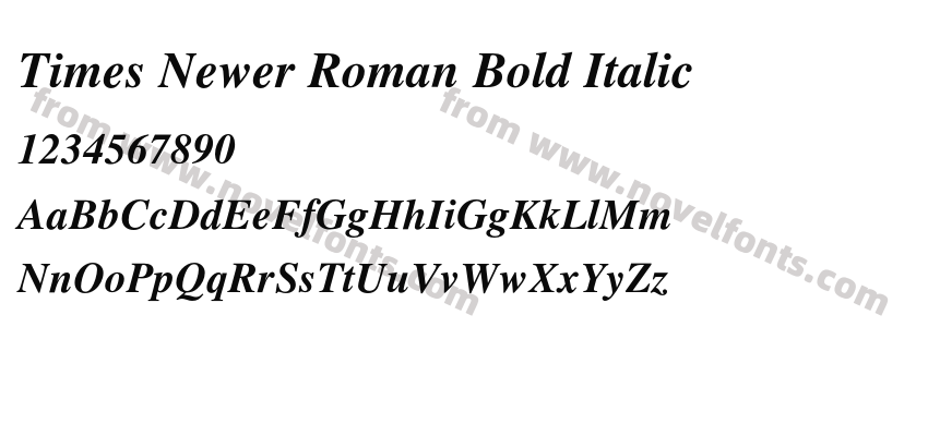 Times Newer Roman Bold ItalicPreview