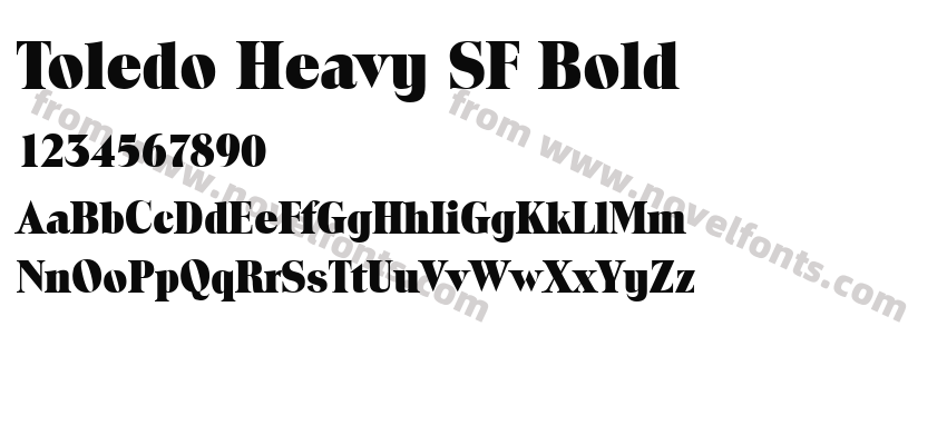 Toledo Heavy SF BoldPreview