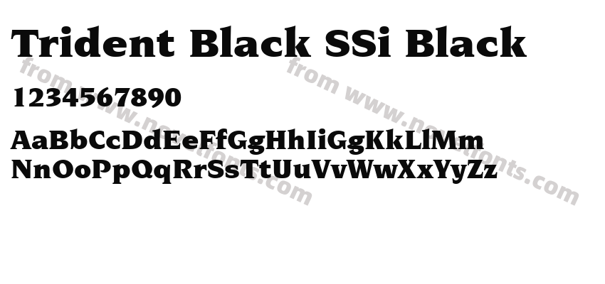 Trident Black SSi BlackPreview