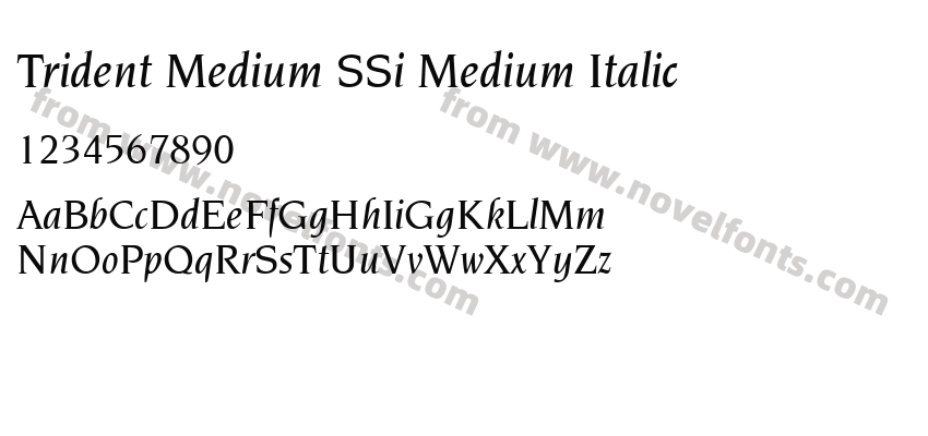 Trident Medium SSi Medium ItalicPreview