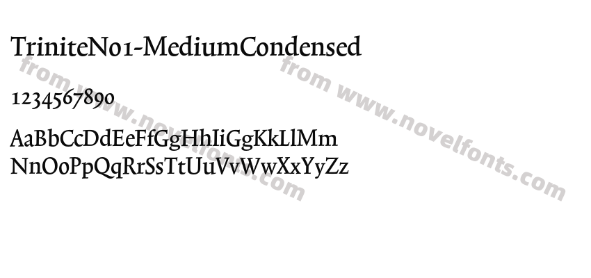 TriniteNo1-MediumCondensedPreview