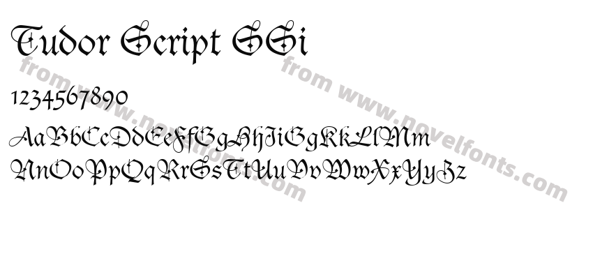 Tudor Script SSiPreview