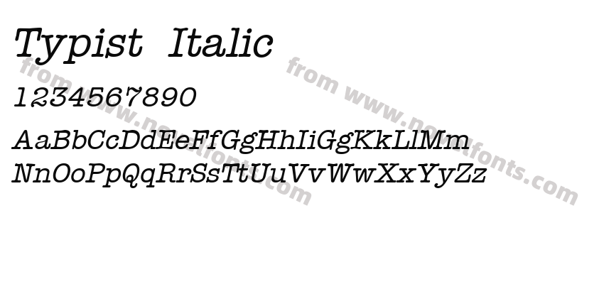 Typist ItalicPreview