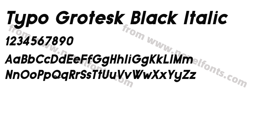 Typo Grotesk Black ItalicPreview