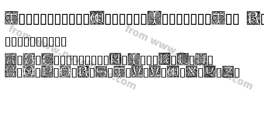 TypographerWoodcutInitialsTwo ReducedPreview