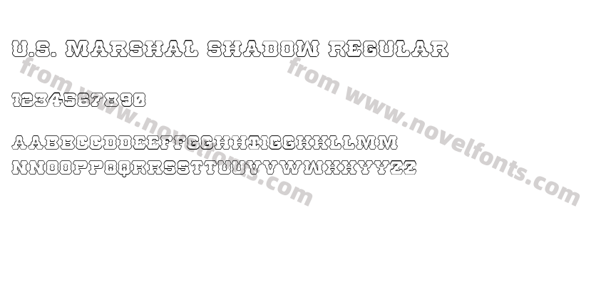 U.S. Marshal Shadow RegularPreview