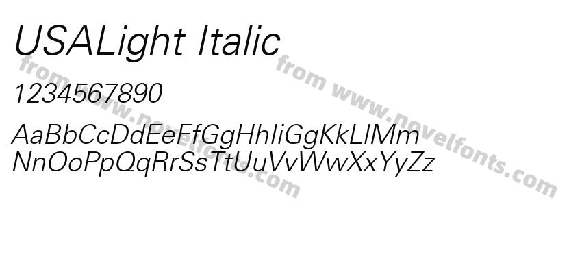 USALight ItalicPreview