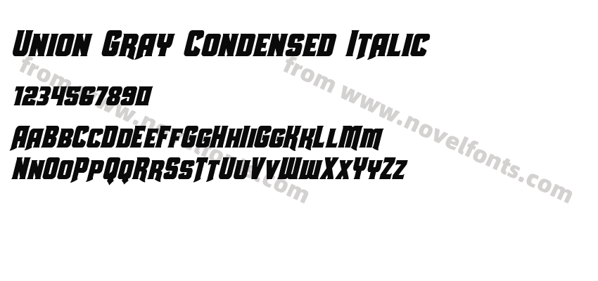 Union Gray Condensed ItalicPreview