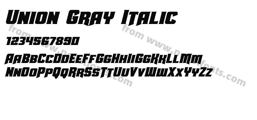 Union Gray ItalicPreview