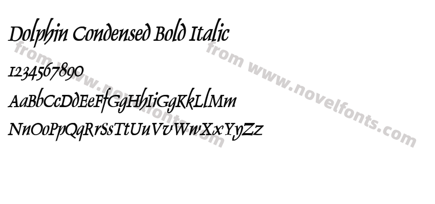 Dolphin Condensed Bold ItalicPreview