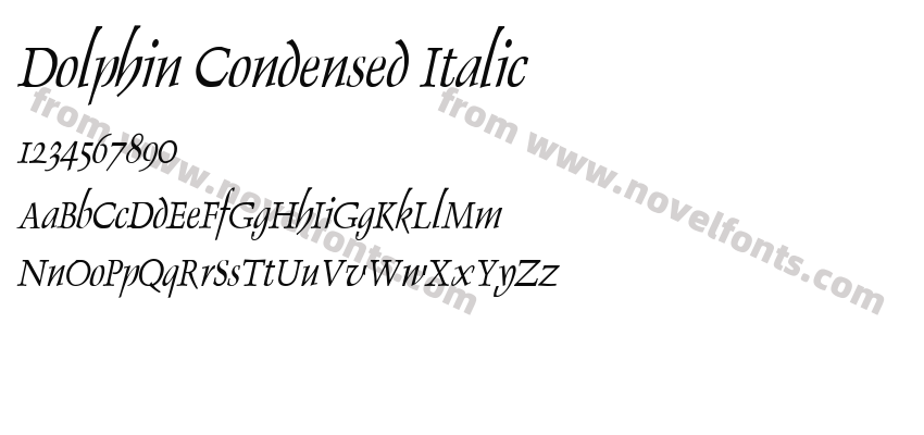 Dolphin Condensed ItalicPreview