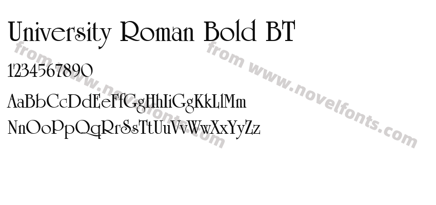 University Roman Bold BTPreview