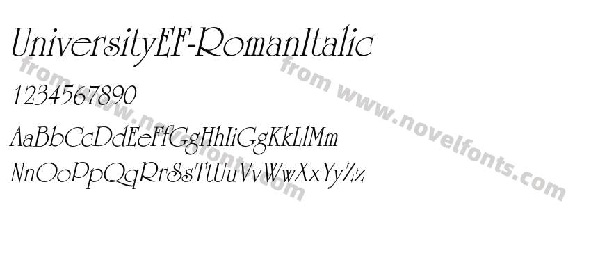 UniversityEF-RomanItalicPreview