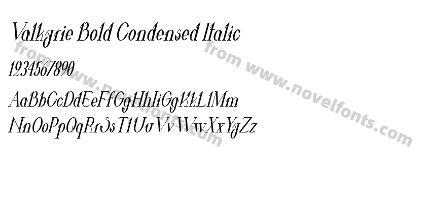 Valkyrie Bold Condensed ItalicPreview