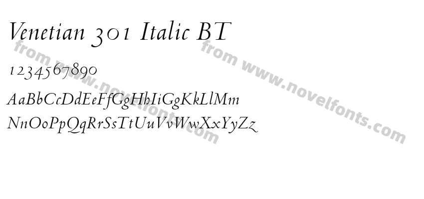 Venetian 301 Italic BTPreview