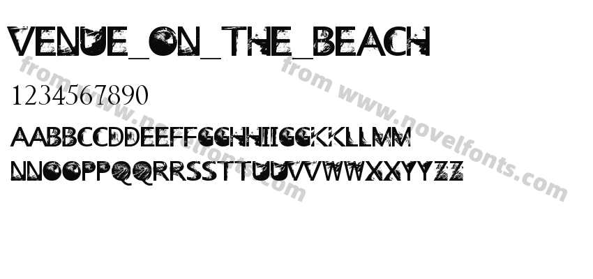 Venue_on_the_BeachPreview