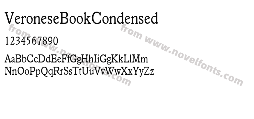 VeroneseBookCondensedPreview