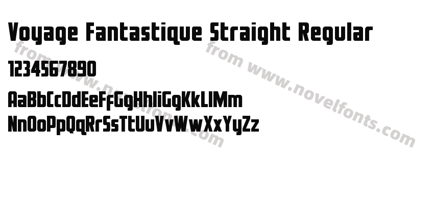 Voyage Fantastique Straight RegularPreview