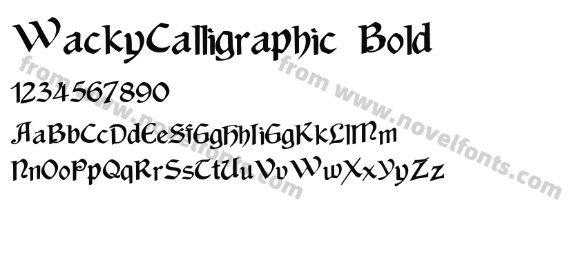 WackyCalligraphic BoldPreview