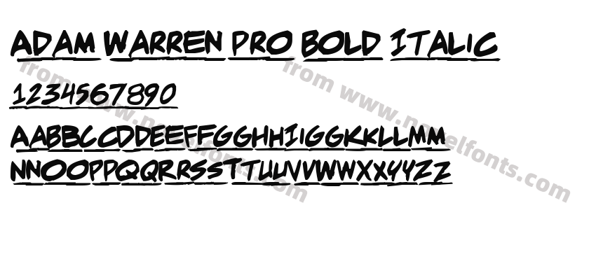 Adam Warren pro Bold ItalicPreview