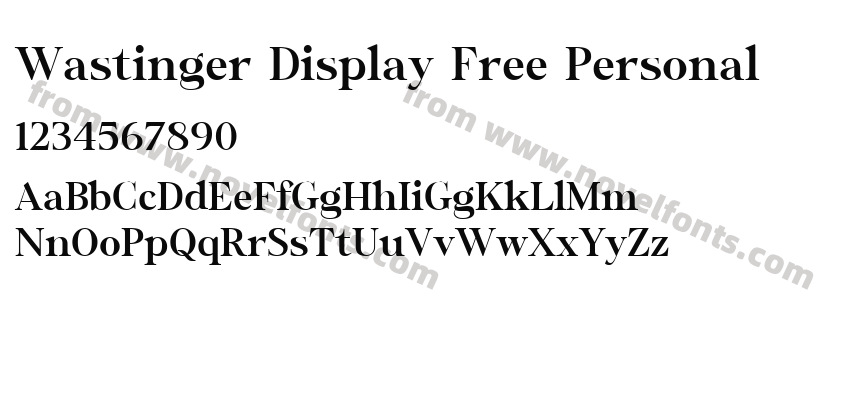 Wastinger Display Free PersonalPreview