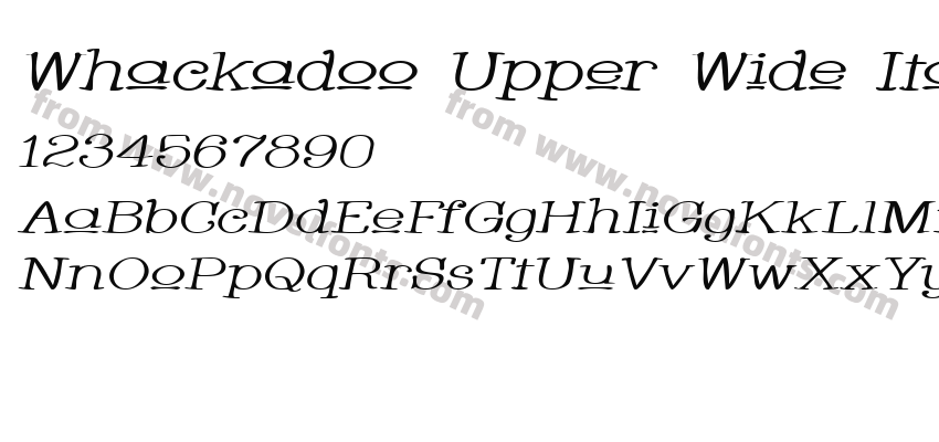 Whackadoo Upper Wide ItalicPreview