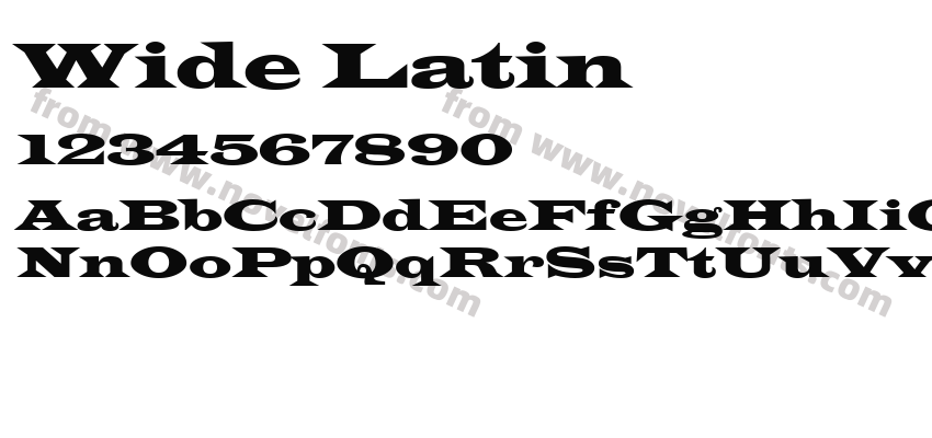 Wide LatinPreview