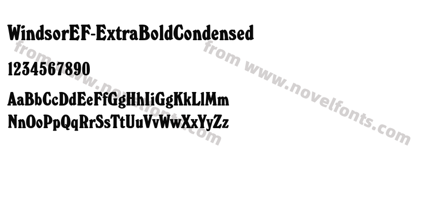 WindsorEF-ExtraBoldCondensedPreview