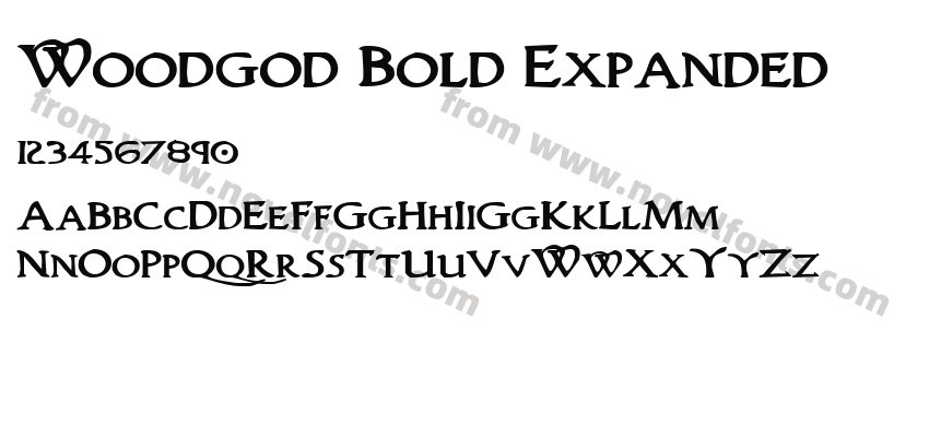 Woodgod Bold ExpandedPreview