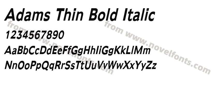 Adams Thin Bold ItalicPreview