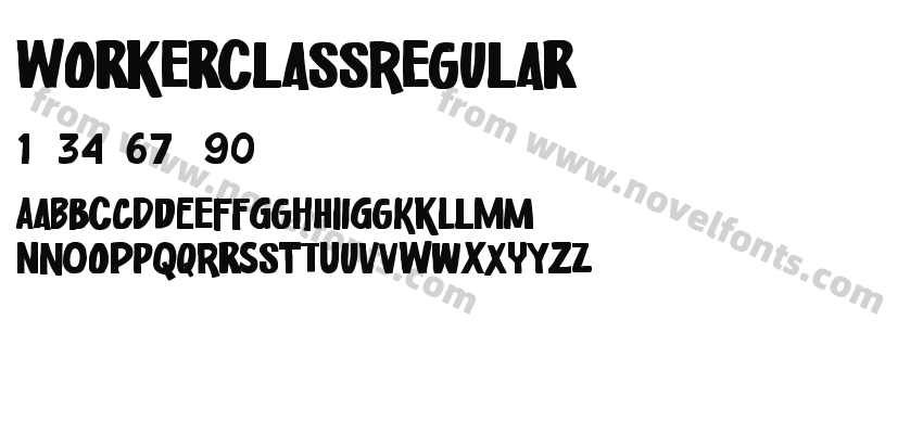 WorkerClassRegularPreview